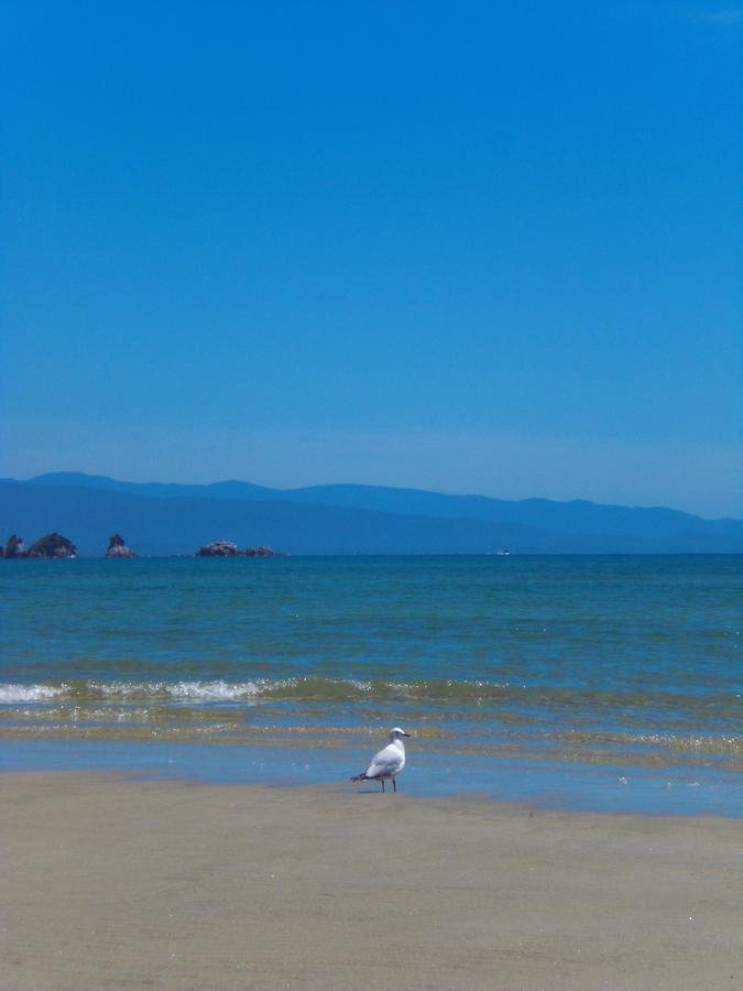 Cabbage Tree Chalet Parapara ห้อง รูปภาพ
